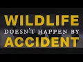 Support Colorado s Constitutional Right to Hunt Fish