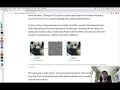 Combinatorial Optimization - Lab 06 Adversarial Examples for DNNs via ILP
