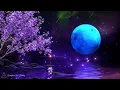 (No Ads) Sink Into Deep Sleep ★︎ Let Go of Overthinking & Worry ★︎ Rest Your Mind Tonight
