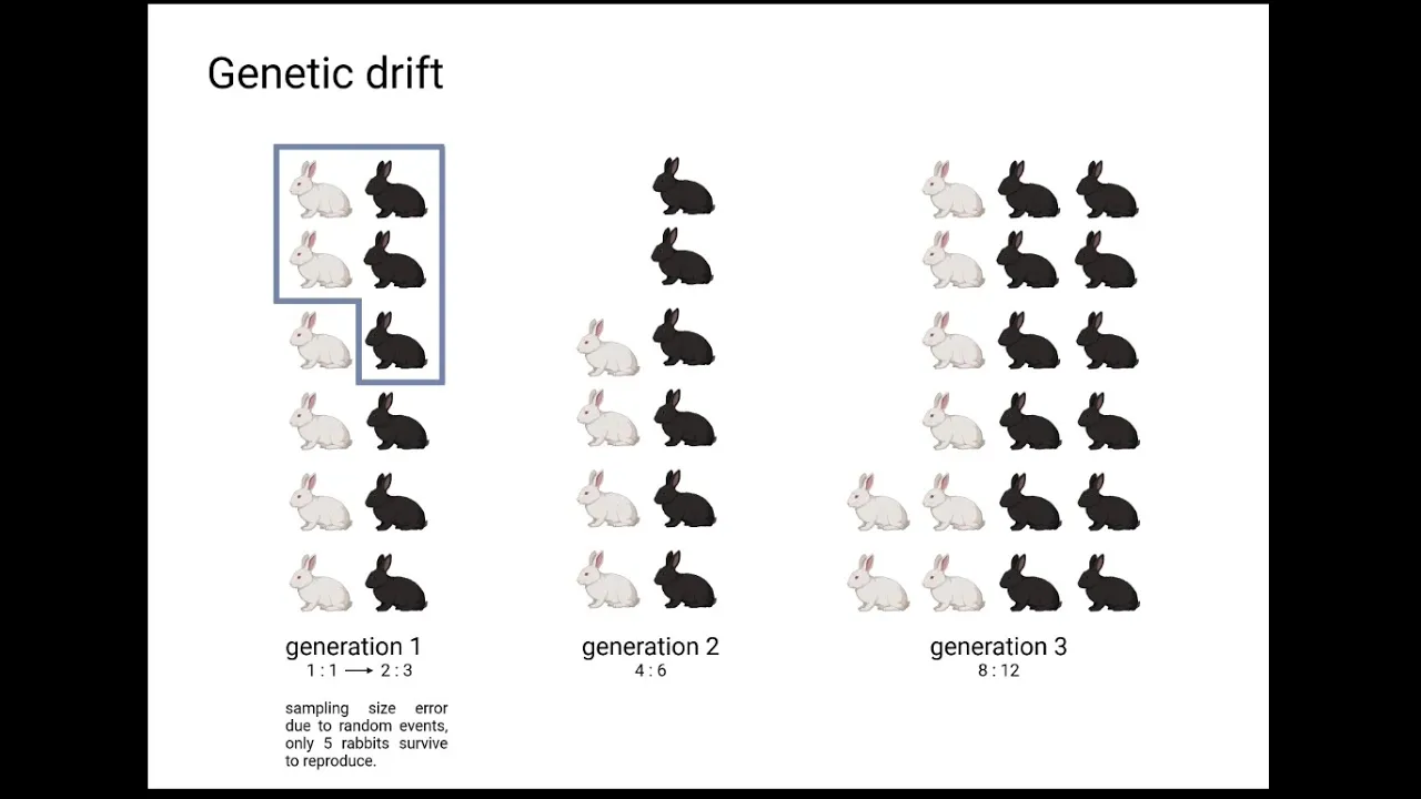 An Introduction to Evolution