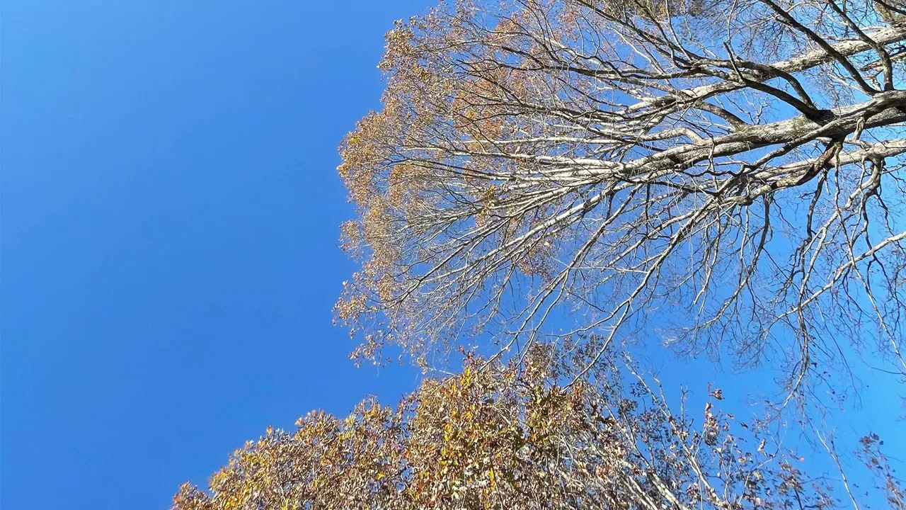 glaive - hey hi hyd (audio)