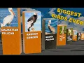 BOne of These Birds Is Taller Than a Human Can You Spot It