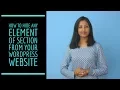 How to hide any element or section from your WordPress Website