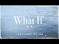 陳蕾 Panther Chan - What If DIY KTV 伴奏