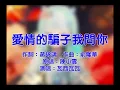 【陳小雲】充滿氣質的翻唱 愛情的騙子我問你 超低清畫質 隔壁鄰居傳來的卡拉OK 瓦西瓦瓦  Vaswawa Cover 歌ってみた
