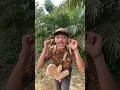 Download Lagu Badannya Besar Tangannya Kecil Dino Song #shorts