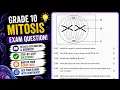Grade 10 Mitosis Exam Question Cell division cells Phases of Mitosis Past paper