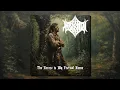 Download Lagu Passional - The Forest is My Eternal Home (Full Album)