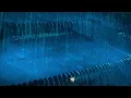(NO ADS) Sleep Fast with Peaceful Rainfall on Tin Roof & Thunder Sounds for Deep Sleep & Relaxation