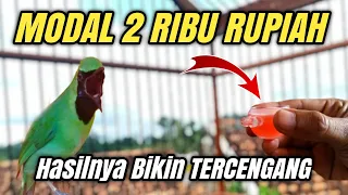 Download JUS PALING GILA POWER UP TEMBUS KE ANGKASA‼️Untuk burung pemakan buah MP3