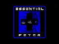 Download Lagu Kerwin Du Bois - Essential Feter