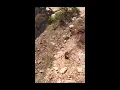 Frag out