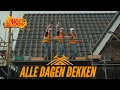 Tegedraods - Alle Dagen Dekken (Carnaval 2025)