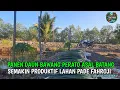 Download Lagu AKSI PADE FAHROJI PANEN DAUN BAWANG PERTAMA KALINYA PETANI  MADIRI