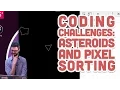 Live Stream Coding Challenges Asteroids and Pixel Sorting
