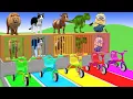 Long Slide Game with Cow Elephant Gorilla Hippopotamus Tiger 3d Animal Game Funny 3d Animals