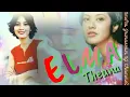 Download Lagu Elma Theana - Jangan Pisahkan Cipt.Dose Hudaya ( 1995 )