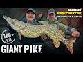 Download Lagu Gábor Döme - The Lake of Giant Pike