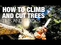 How To Climb and Cut Trees SOLO Tips and Tricks