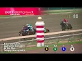 Race 26