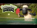 Download Lagu Ping Pong 🏓 Championsheeps 🐑 Shaun the Sheep #sport #ShaunTheSheep
