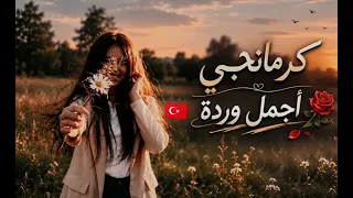 كرمانجي أجمل وردة      النسخة العربية  للأغنية الكردية المشهورة   ترند  أنا ودي أشوفك           دندنها