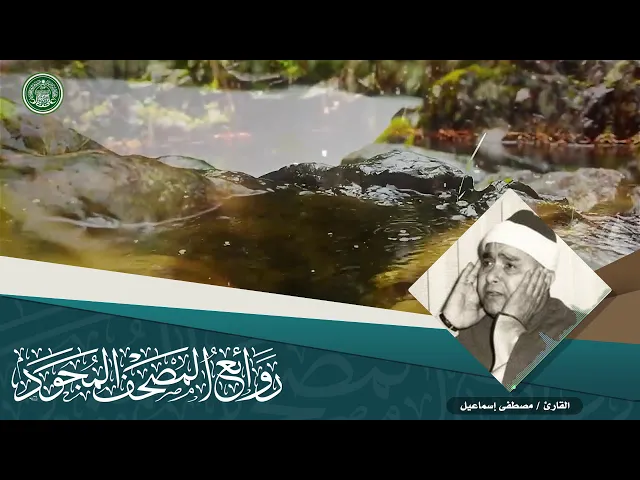 ⁣القارئ | مصطفى اسماعيل