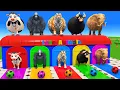 Download Lagu Long Slide Game With Cow Elephant Gorilla Hippopotamus Tiger 3d Animal Game Funny 3d Animals