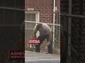 Asheville police shoot kill suspect in parking lot