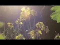 Bon Iver - Towers (Deluxe) - Official Audio