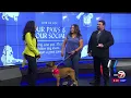 PAWS AND POUR SOCIAL HOUR