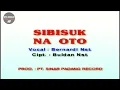 Lagu Tapsel madina ( si bisuk na oto ) voc: bernadi nasution