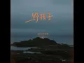 野孩子（明知愛這種男孩子）