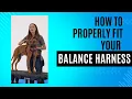 How to Fit the Balance Harness Best No-Pull Dog Harness from Blue-9