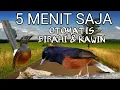 Download Lagu Pancingan suara murai jantan dan betina pendongkrak birahi paling ampuh || Terapi murai kawin.