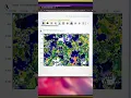 Find all the structures in your Minecraft world