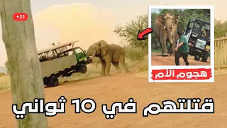                                                                                                      دندنها