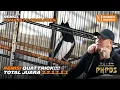 Download Lagu KACER REMISI | AKSI REMISI FULL NGOTOT DI EVENT 1ST ANNIVERSARY KMB PHPBS.