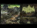 CEREBRAL ROT - Swamped In Festering Excrementia (From 'Odious Descent Into Decay' LP, 2019)