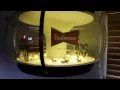 Revolving Budweiser Beer Sign with World Champion Clydesdale Team