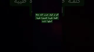 ألم تر كيف ضرب اللـه مثلا كلمـة طيبـة كشجرة طيبة أصلهـا ثـابت وفرعها في السماء 