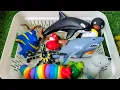 Download Lagu Sea Animals for Kids: Educational and Fun Learning Video Under the Ocean