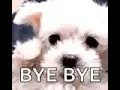 bye bye gif