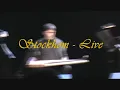 Hungarian Dance No 5 (johannes brahms ) arranged by Hosam Hayek - live