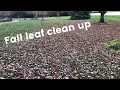 Fall leaf cleanup with a zero turn and bagger