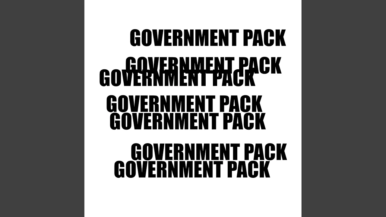 I'M NOT A BIG FAN OF THE GOVERNMENT I'M NOT A BIG FAN OF THE GOVERNMENT