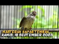 Download Lagu MASTERAN KAPAS TEMBAK GACOR | EDISI SORE-MALAM | RABU, 17 SEPTEMBER 2025