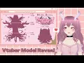 Vtuber Model Reveal Tutorial