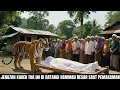 Lagu Bikin Merinding!Jenazah Ini didatangi Harimau Besar Saat Pemakaman! Mengapa Azab Allah Datang Kesini