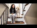 Tough decisions Labrador German Shorthaired Pointer